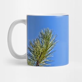 Pine Sky Border Mug